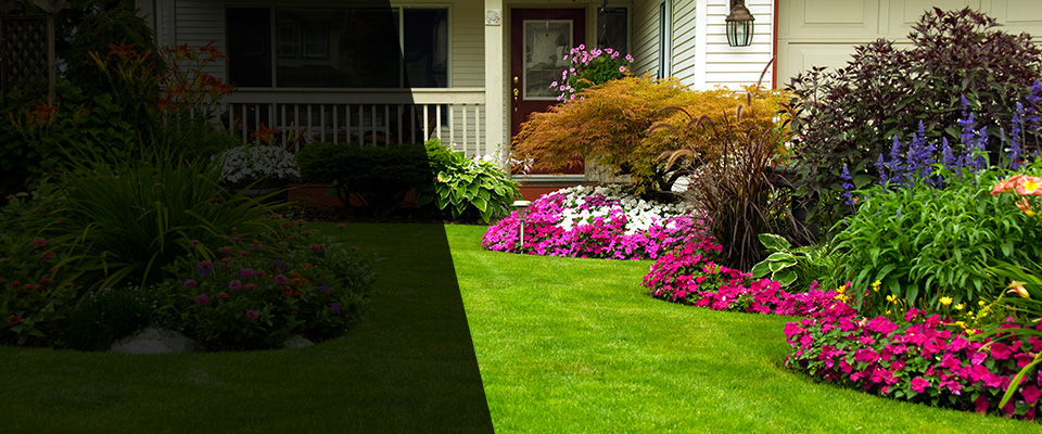 Dalton Landscapers